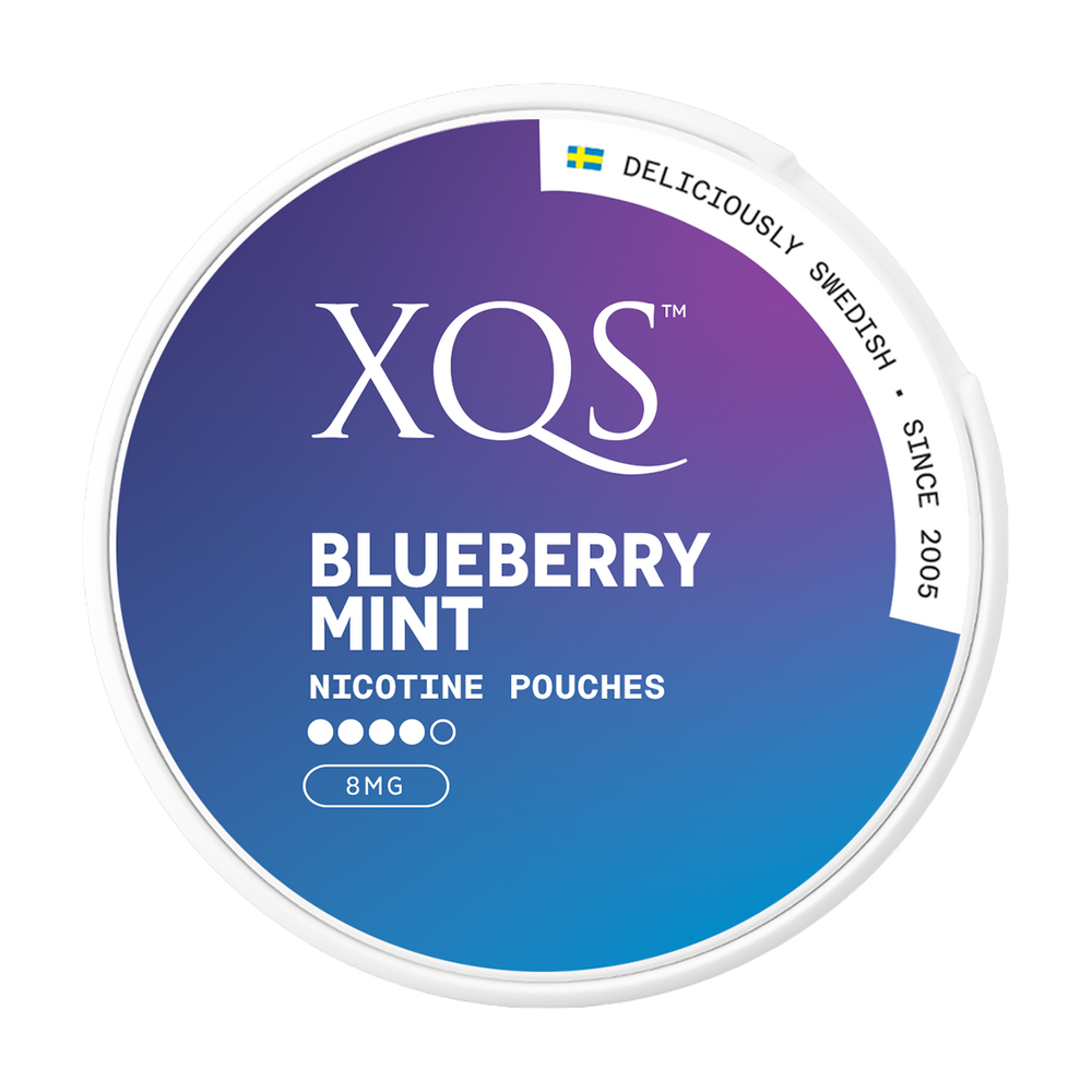 Blueberry Mint XQS Nicotine Pouches 8mg